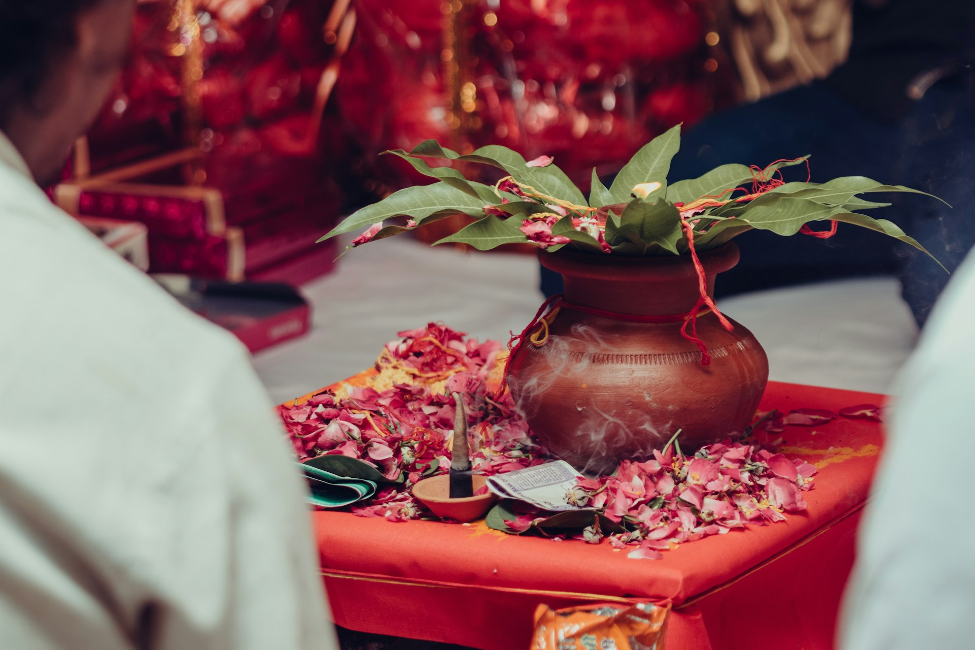 a potted plant sitting on top of a red table